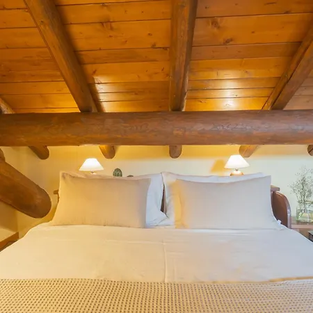 Apartment Casa Giovio Elengant Loft In Historical Building